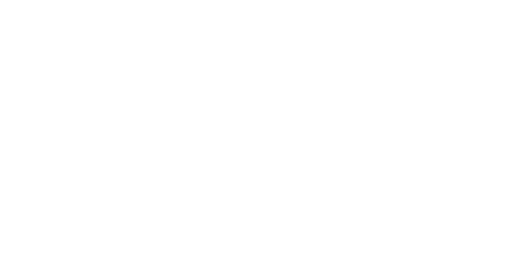 Face Beautiful Profissional